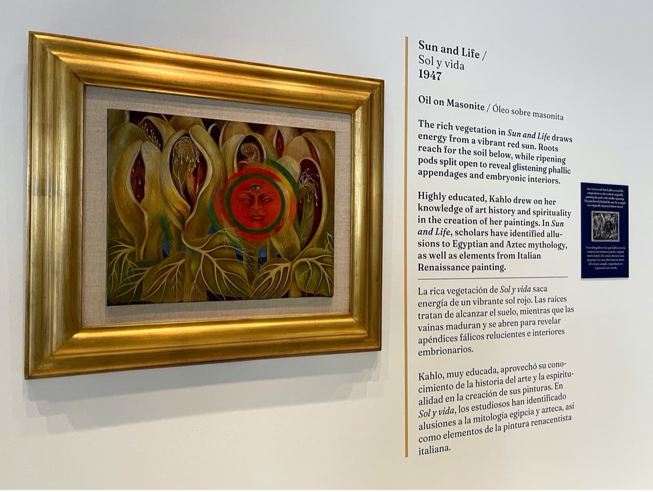 <br>Este óleo sobre masonita titulado Sol y vida saca energía de un vibrante sol rojo.
<br>
<br>
<br>