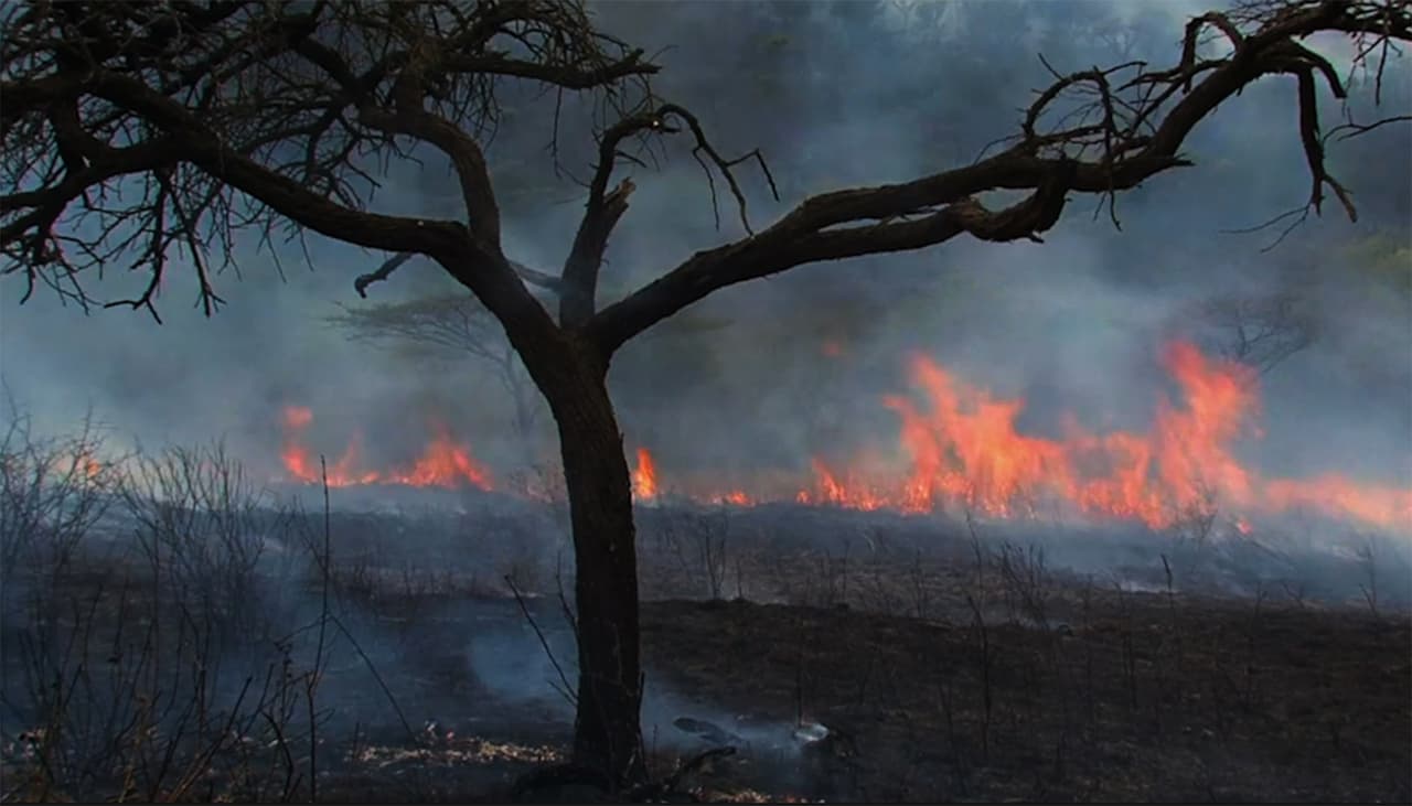 Servicio Meteorológico Nacional emite alerta por riesgo elevado de incendios en áreas de Pensilvania