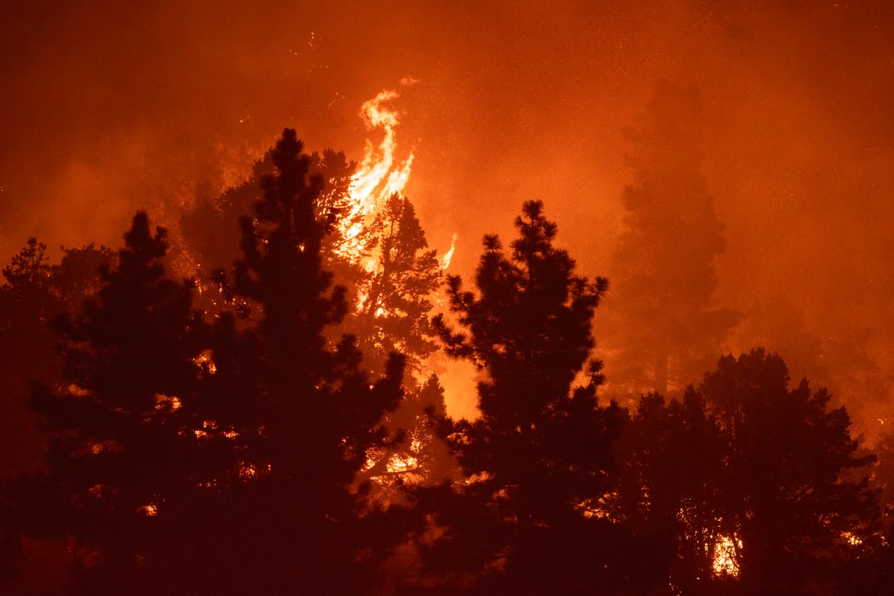 Por su parte, el gobernador Gavin Newsom ha anunciado una subvención de asistencia para la gestión de incendios (FMAG)Enlace externode la Agencia Federal para el Manejo de Emergencias (FEMA) para ayudar a garantizar la disponibilidad de recursos vitales para los condados de Los Ángeles y San Bernardino.