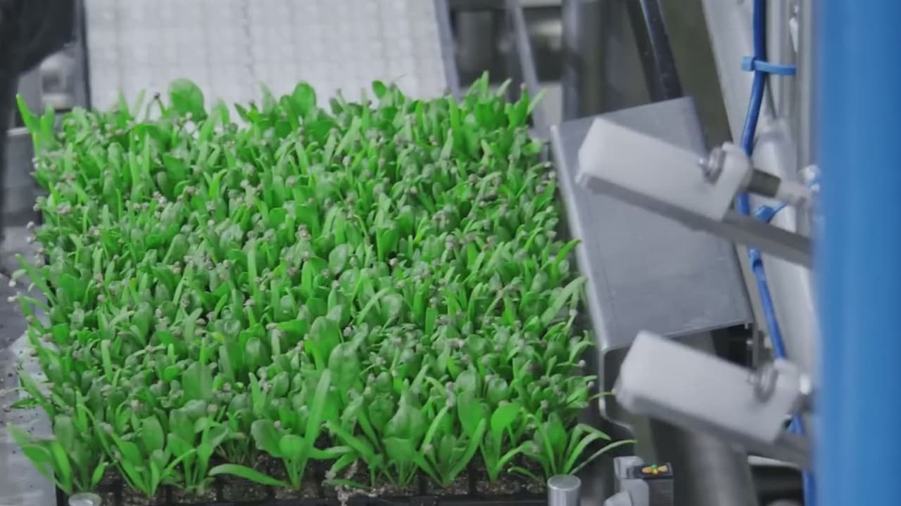 Así funciona la granja tecnológica inaugurada en Compton para el servicio de la agricultura y la comunidad