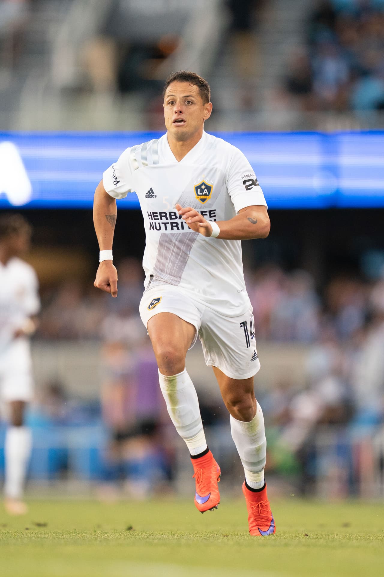 Javier Hernández (LA Galaxy)
<br>