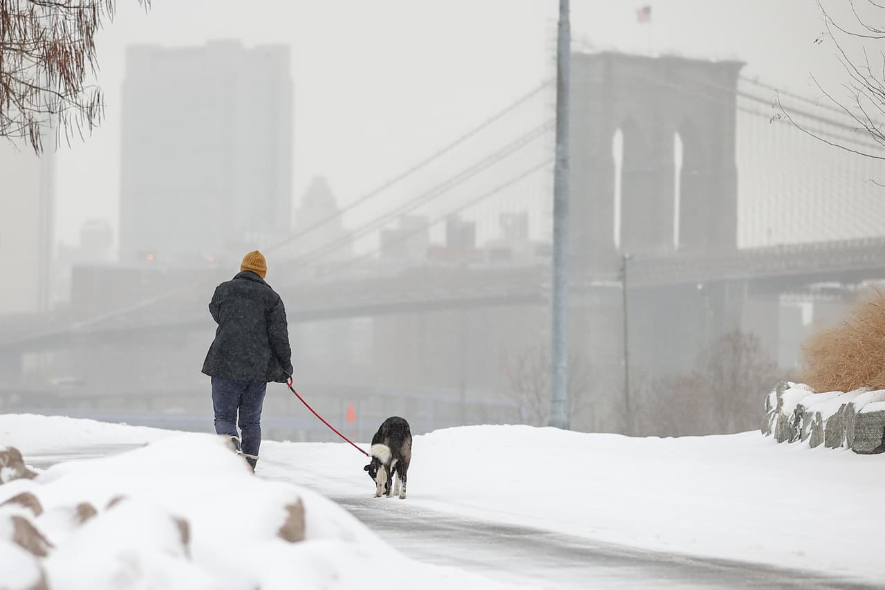 Vista de la nevada de la pasarela del Brooklyn Bridge Park