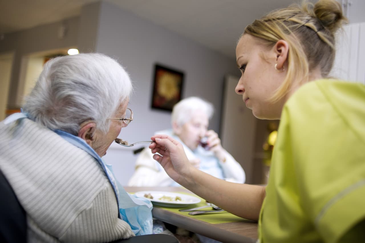 Mientras que hoy en dia los cuidadores Millennials en los EE.UU. son predominantemente blancos, un 30% son latinos, un 22% son afroamericanos y un 7% son asiático-americanos.