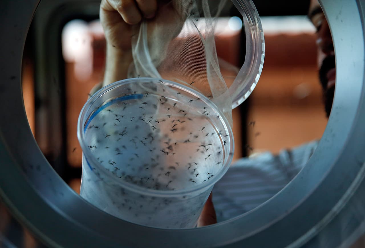 Casos de zika en Florida superan los 100