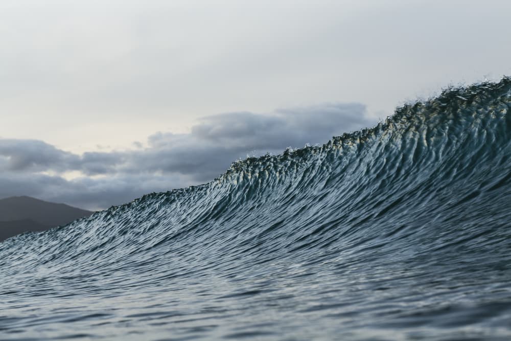 No olvidemos que estas fuerzas Tierra-Luna son las que causan las mareas en nuestro planeta y están relacionados con los llamados Nodos o Nódulos de la Luna: cuando la Luna en su órbita se dirige al Norte estamos hablando del Nodo Ascendente y cuando se dirige al Sur de Nodo Descendente, los antiguos le llamaban “Cabeza y Cola del Dragón” respectivamente.
<br>
<br>Por Profesor Zellagro
