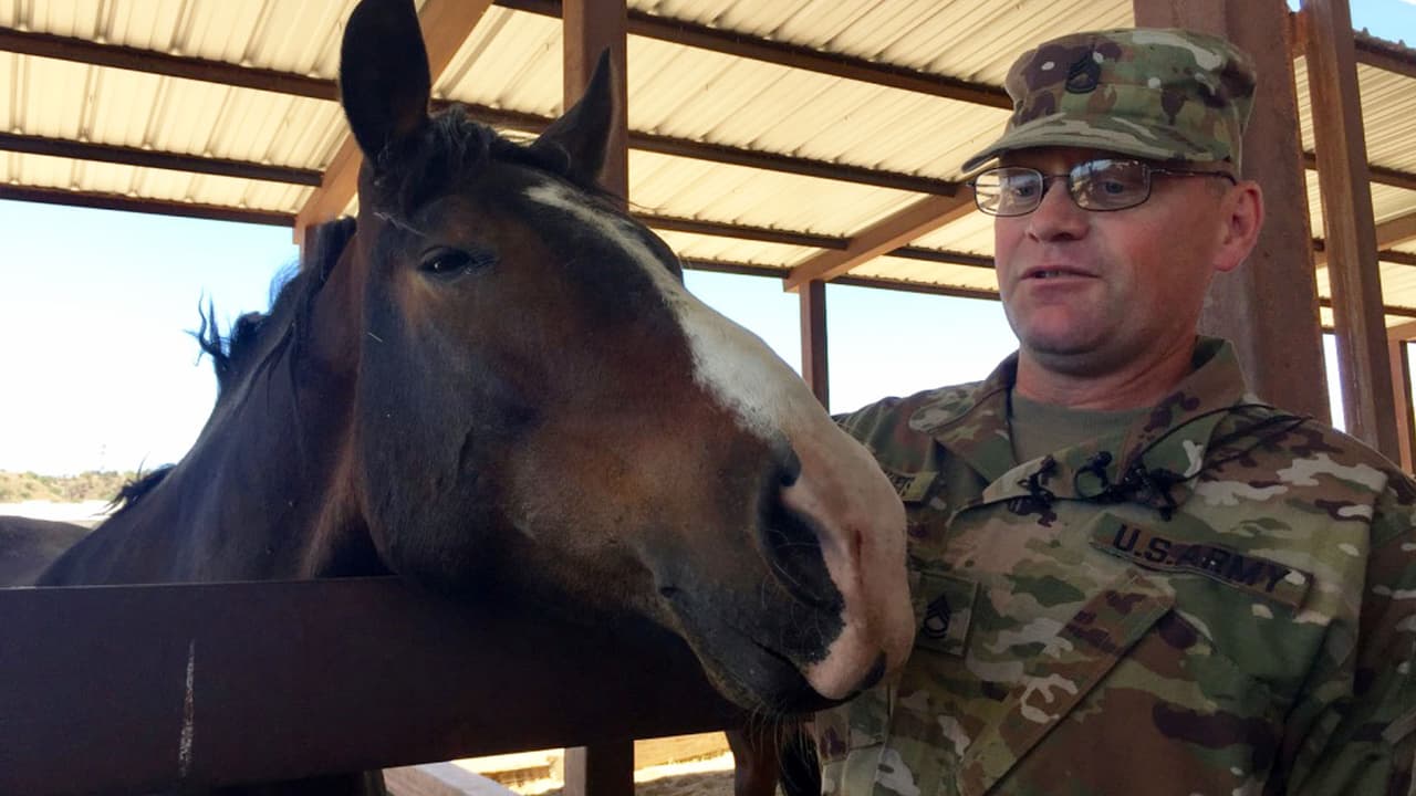 El sargento Thomas Evitts está asignado a las caballerizas donde toma cuidado de los caballos para darles de comer, agua y medicinas.