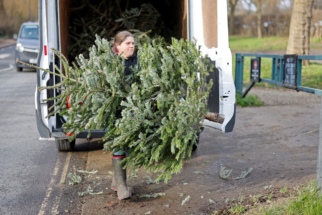 <b>Flagstaff</b>
<br>- Recycling Transfer Facility - 1800 E. Butler Ave.
<br>- Thorpe Park Annex - 419 N. Mogollon St. 
<br>- Jay Lively Activity Center - 1650 N. Turquoise Dr.
<br>- Continental Fields - 5700 E. Old Walnut Canyon Rd.
<br>Más información: 
<a href="https://www.flagstaff.az.gov/607/Green-Wood-Waste" target="_blank">www.flagstaff.az.gov</a>