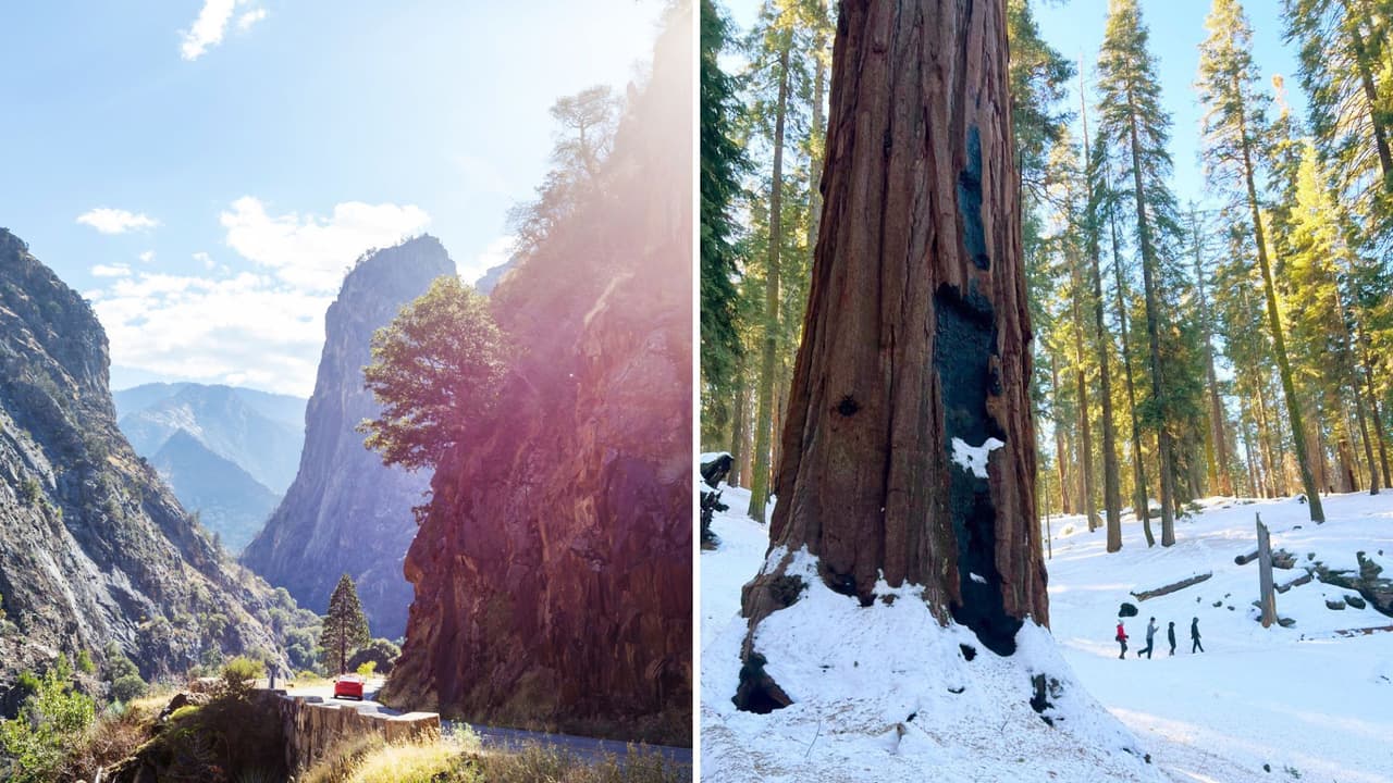 Disfruta el fin de semana de Acción de Gracias en Kings Canyon y las Sequoias Gigantes