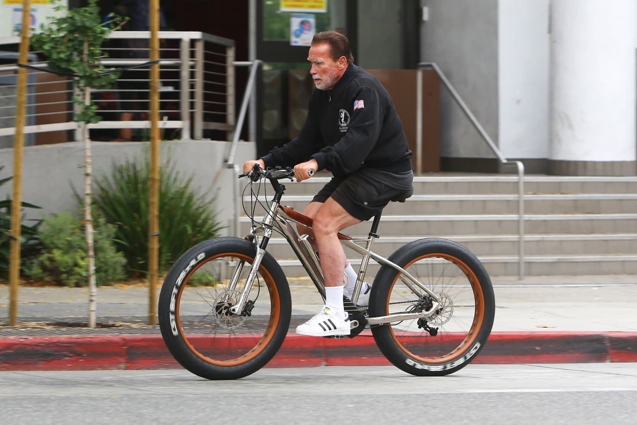 En esa ocasión ambos resultaron con heridas. Mientras que el actor recibió 
<b>15 puntos de sutura en su labio inferior</b>, 
<b>su hijo fue tratado por</b> 
<b>cortes y contusione</b>s, reportó 
<a href="https://edition.cnn.com/2006/POLITICS/01/08/schwarzenegger.wreck/index.html" target="_blank">CNN</a> en 2006.
<br>