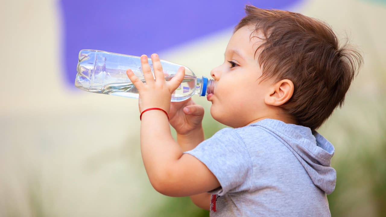 <h3 class="cms-H3-H3"><b>Manténlos hidratados y bien alimentados 🥛</b></h3>
<br>Aunque no lo parezca, el frío deshidrata. Ofréceles agua tibia o tés (sin cafeína). Además, una dieta rica en frutas y vegetales fortalece su sistema inmune. Alimentos como naranjas, fresas y caldos calientes serán sus aliados 🥣