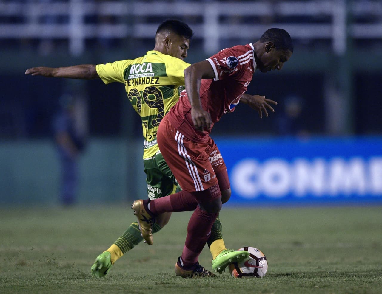 El 2018 del América de Cali no es el mejor. No clasificó a la fase final del torneo local y en la Sudamericana salió en primera ronda. Sin embargo,
<b>Juan Camilo Angulo </b>fue uno de sus mejores jugadores. Mucha entrega, fútbol ofensivo, remate preciso y potene.