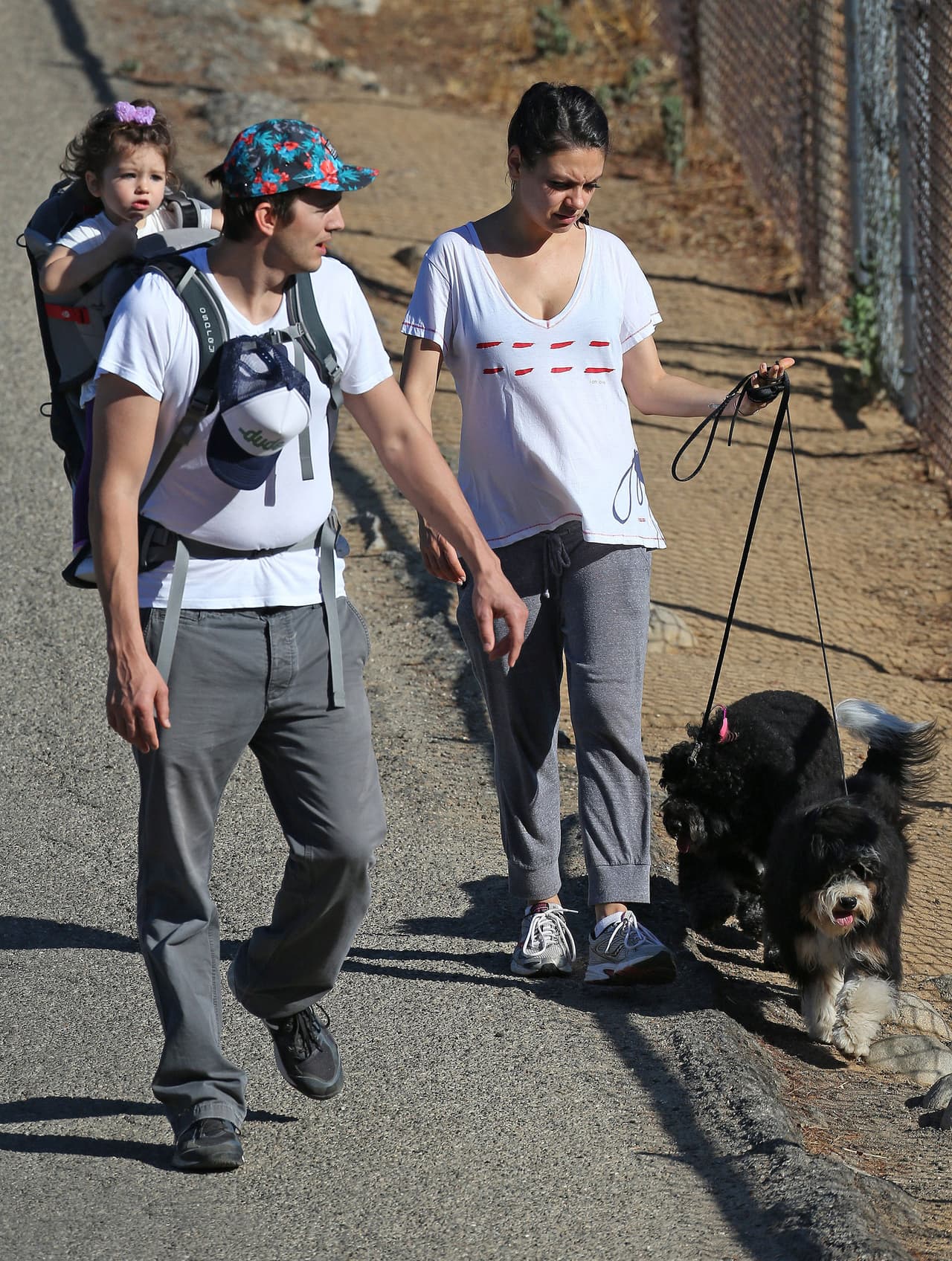 Mila Kunis y Ashton Kutcher paseando con su nena y sus perritos.