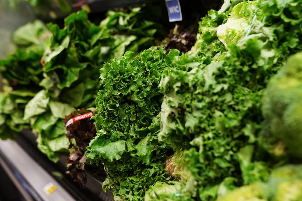 El mayor distribuidor de alimentos de EEUU deja de comprar lechuga Taylor Farms por brote parasitario