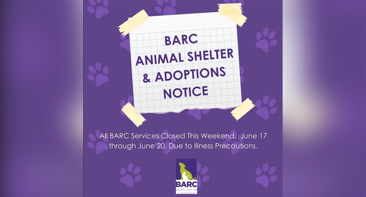 El Centro de Adopción y Refugio de Animales de la Ciudad de Houston, estará cerrado al público para todos los servicios del jueves 17 al domingo 20 de junio, para abordar la presencia inusual de enfermedades respiratorias, indicó BARC