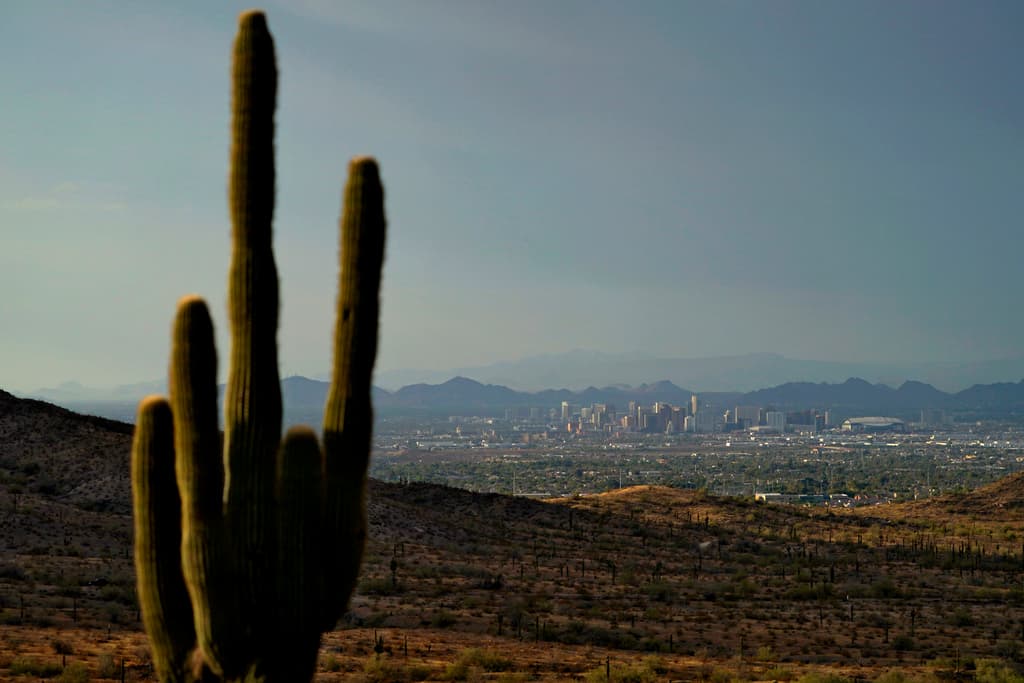 Debido a esto, se ha visto en la zona del valle saguaros comenzado a perder sus brazos, se derrumban y mueren. Si necesitas ayuda para mantener tu saguaro consulta a un experto.