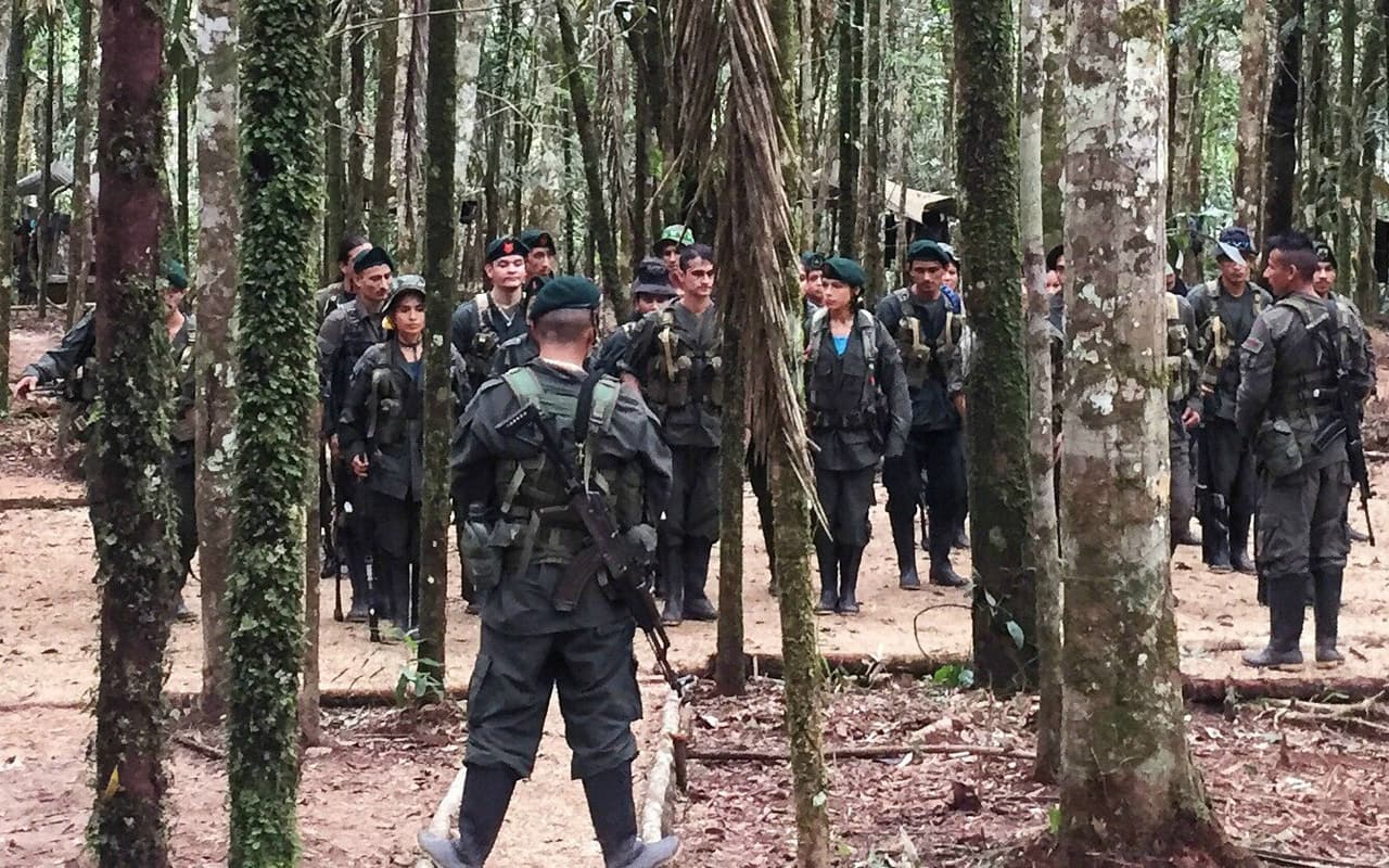 The FARC's Eastern Bloc operates across a vast, sparsely-populated swampy savannah in the southeastern province of Meta, stretching from the Andean foothills south of the capital, Bogotá, all the way to the Venezuelan border, and south into the Amazon jungle as far as Brazil.