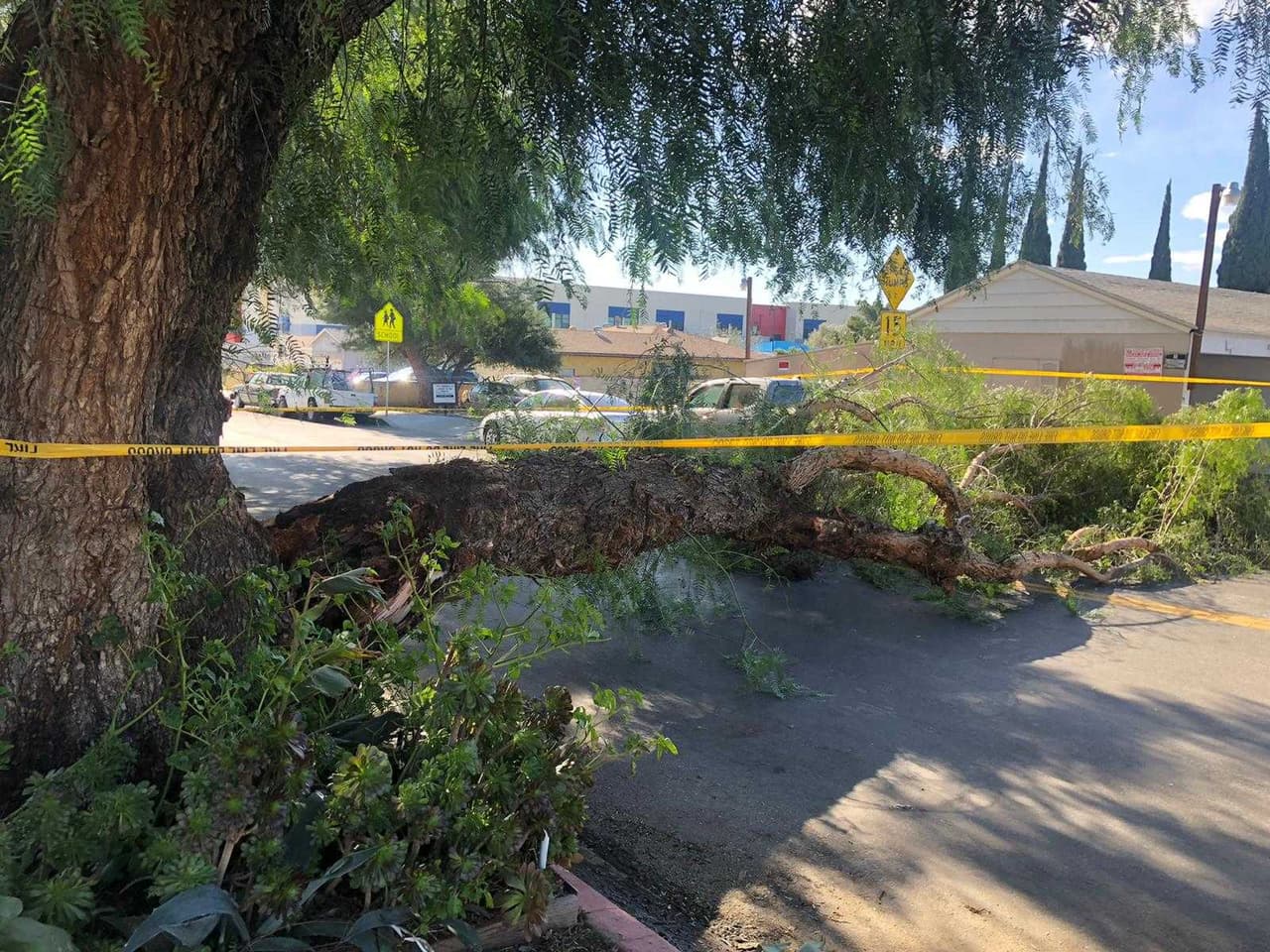 El hecho fue reportado entre la Avenida Bromont y la calle Maclay.