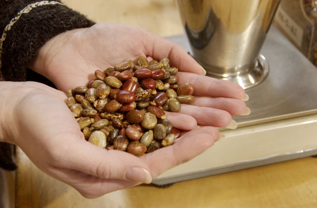 Residente de La Crescenta se declara culpable de intentar comprar la nueva arma biológica del terrorismo 