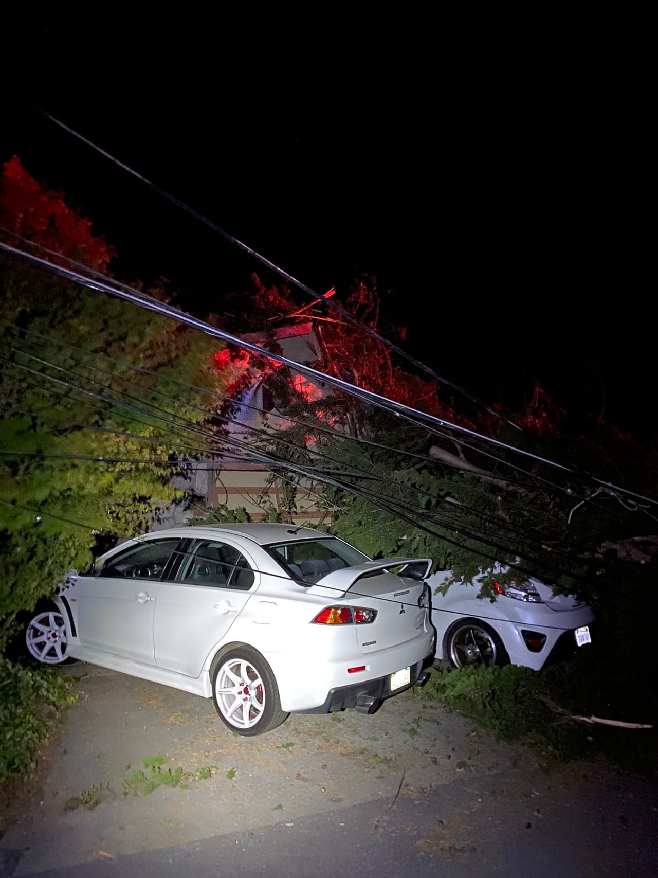 Árboles se desplomaron sobre los vehículos debido a las ráfagas por las cuales se emitió una Alerta de Bandera Roja.