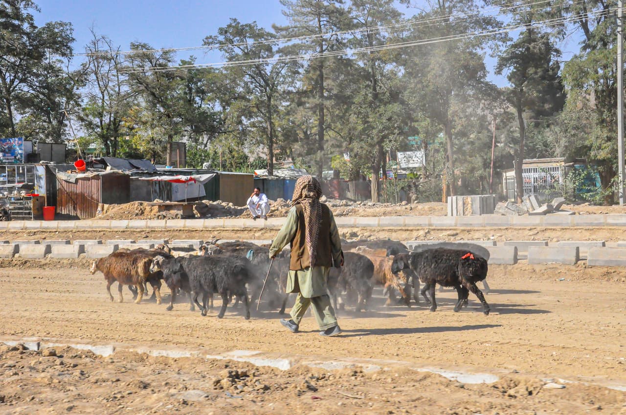 <b>Afganistán.</b> Advertencia de viaje actualizada el 25 de febrero de 2021.