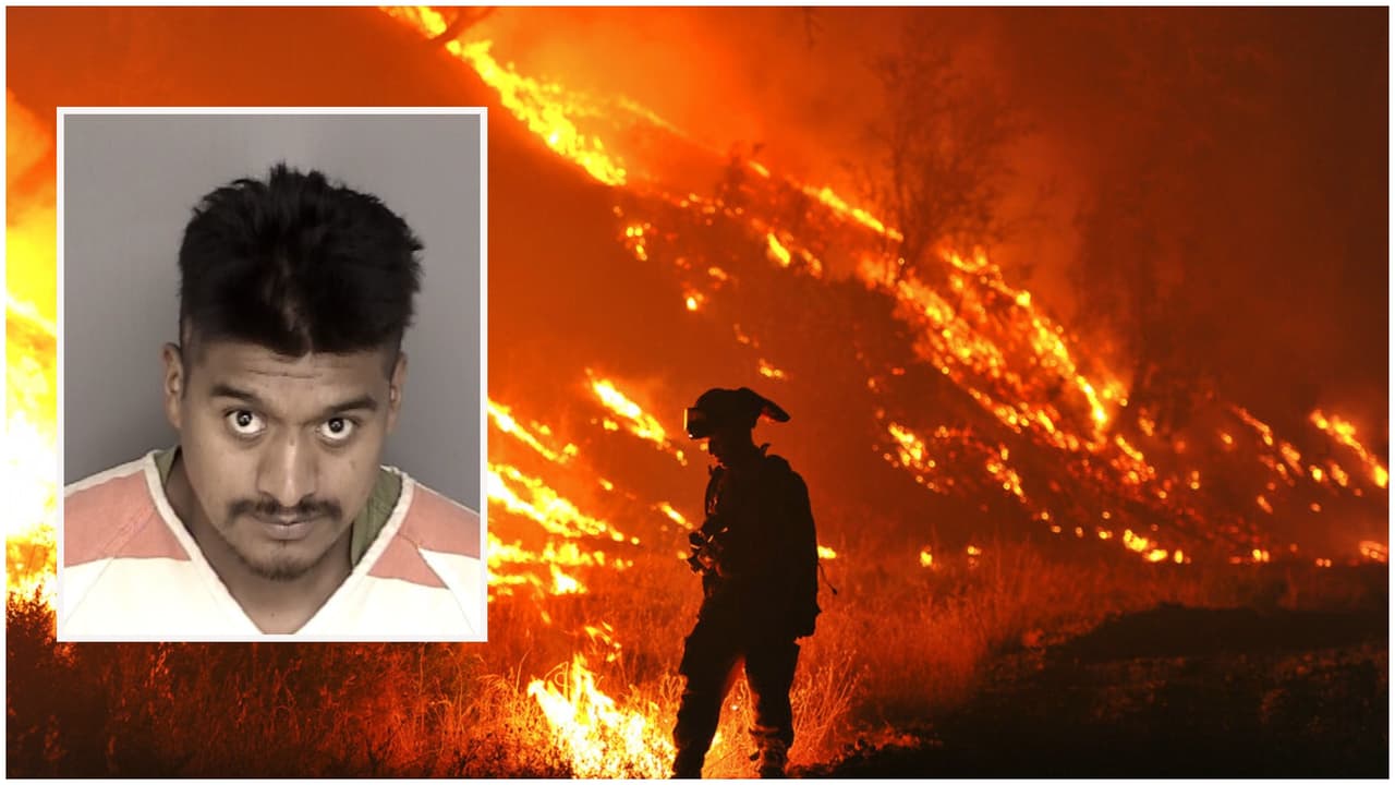 Hombre pasará 24 años en prisión por incendio de 125,000 acres que mató a 12 cóndores en California