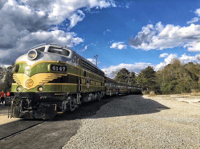 <b><a href="https://www.stonemountainpark.com/" target="_blank">Stone Mountain Park</a></b>: Stone Mountain Park es el hogar de un corto ferrocarril que viaja a lo largo de la base del relieve gigante. Ideal para niños, viajar en tren está incluido con la compra de su Pase de Aventura, al igual que Great Locomotive Chase Adventure Golf. Su viaje de menos de una hora lo llevará a través de las áreas boscosas del parque.