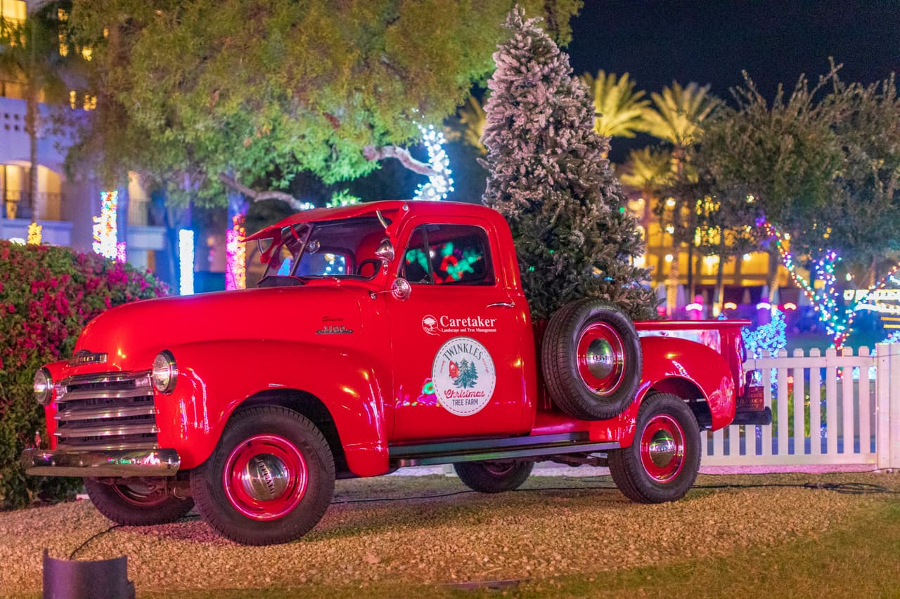 A continuación, te llevamos en recorrido virtual de las activadas al aire libre que están disponible para toda la familia. 
<br>