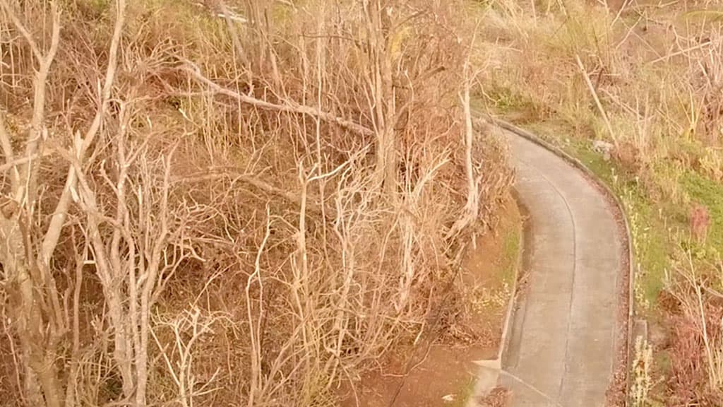 Dominica: This Dominican family struggles to get by after Hurricane Maria