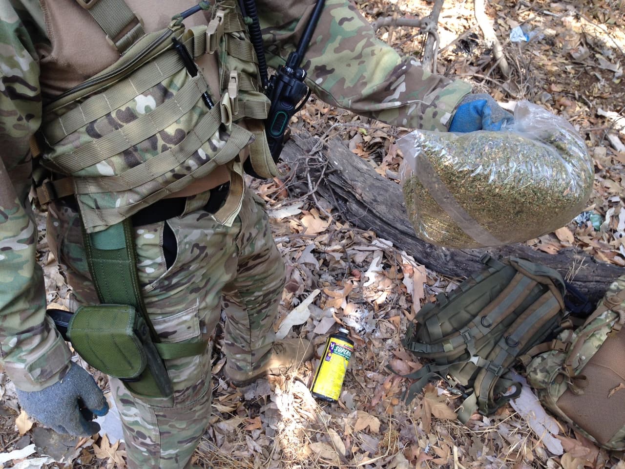 Nada desperdician los carteles. Las sobras de la cosecha del cannabis, como las que muestra un agente, se utilizan para producir ‘miel de abeja’, un concentrado más potente del enervante.