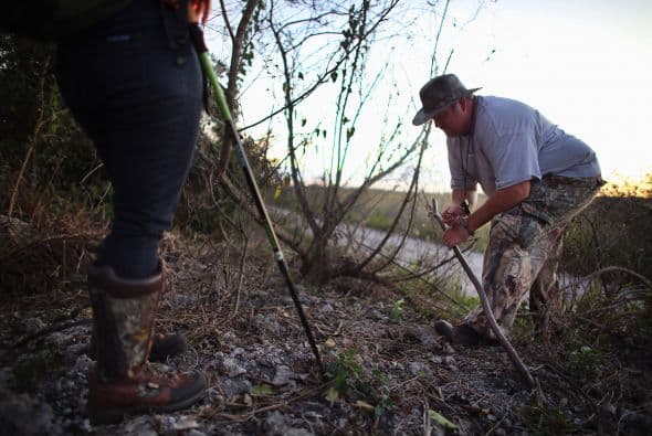 Queremos hacer saber al público que no debe soltar serpientes u otras mascotas que no puedan cuidar, dioj Pino.