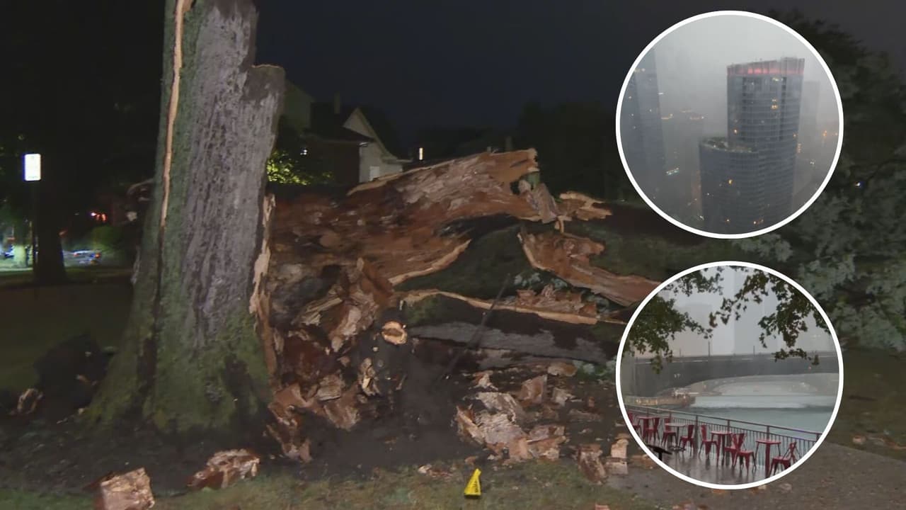 Árboles caídos y miles sin electricidad tras el paso de una ronda de tormentas severas por Chicago 