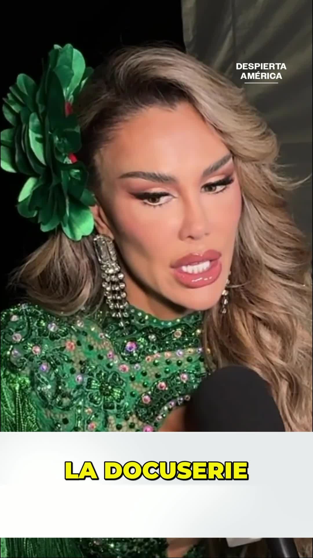 Ninel Conde aclara repercusiones legales contra José Manuel Figueroa