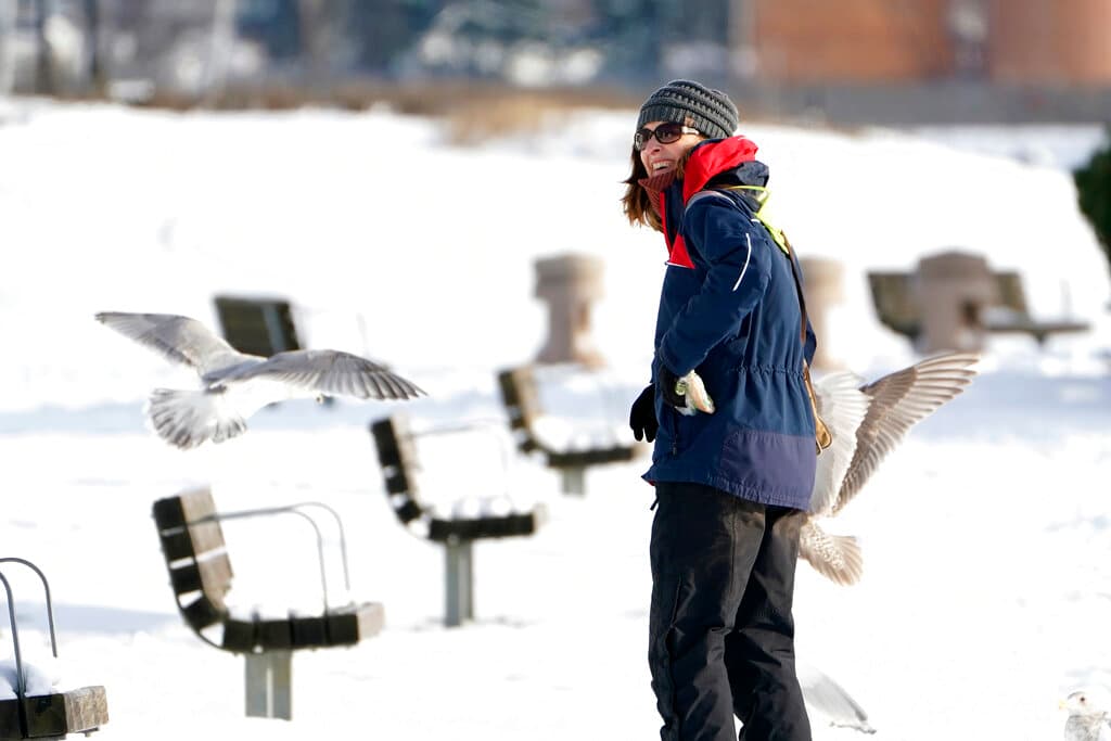 Un parque totalmente cubierto por una capa de nieve en Bellingham, Washington.