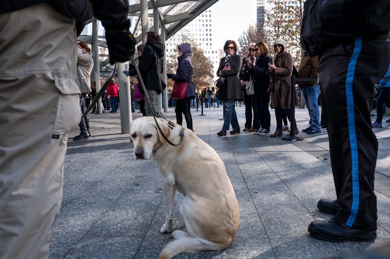 El dolor tras los atentados terroristas ocurridos este viernes en París es palpable en NY en donde cientos de personas, tanto en el Consulado francés como en la plaza Washington Square Park, se reunieron para honrar la memoria de las más de 100 víctimas fatales. El alcalde Bill de Blasio participó en una vigilia, junto al cónsul francés, Bertrand Lortholary, en donde reafirmó el apoyo de los neoyorquinos al pueblo galo.