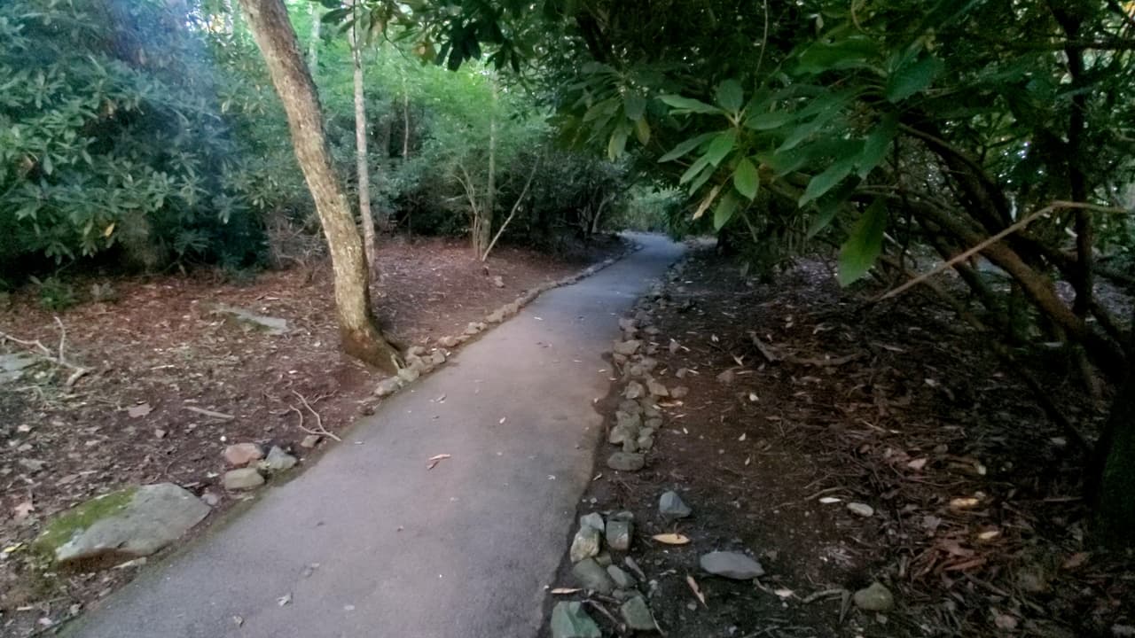 Brasstown Bald también conecta con tres senderos justo al lado del estacionamiento.