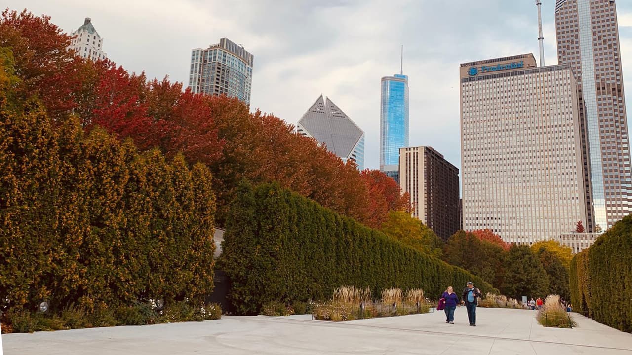 Gracias a la gran cantidad de áreas verdes en la Ciudad, el Otoño es una de las temporadas más llenas de colores cálidos.