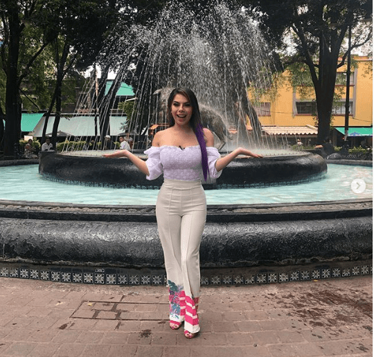 El pasado 14 de julio de 2019, 
<b>Lizbeth Rodríguez</b>, famosa por ser presentadora del canal de YouTube 
<b><a href="https://www.youtube.com/channel/UCYWOjHweP2V-8kGKmmAmQJQ" target="_blank">Badabun</a></b> y conductora del programa 
<b>Exponiendo Infieles</b>, publicó un video en sus redes sociales que posteriormente fue borrado, pero que fue 
<b><a href="https://twitter.com/justcauseidkyou/status/1151272964471627777?ref_src=twsrc%5Etfw%7Ctwcamp%5Etweetembed%7Ctwterm%5E1151272964471627777&ref_url=https%3A%2F%2Fwww.milenio.com%2Fvirales%2Fluisito-comunica-infiel-chule-video-filtrado" target="_blank">retomado por otros usuarios</a></b>. En él se observa que revisa el teléfono de otro 'youtuber', 
<b>Ryan Hoffman</b>, mejor conocido por su canal '
<b><a href="https://www.youtube.com/user/DebRyanShow" target="_blank">DebRyanShow</a>' </b>.