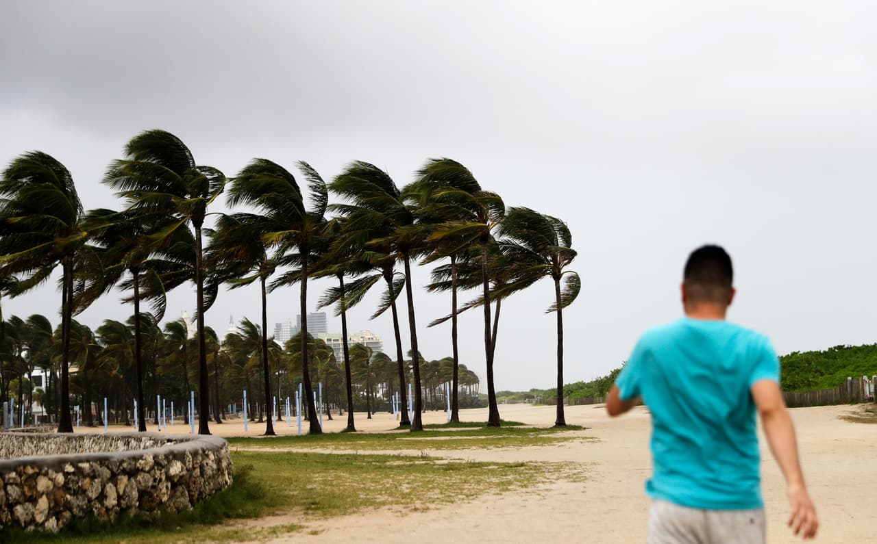 Las palmeras dobladas por el viento a lo largo de Miami Beach, Florida, el sábado a la tarde poco antes de la llegada de Irma. Esta zona era de evacuación obligatoria, pero muchos decidieron quedarse.