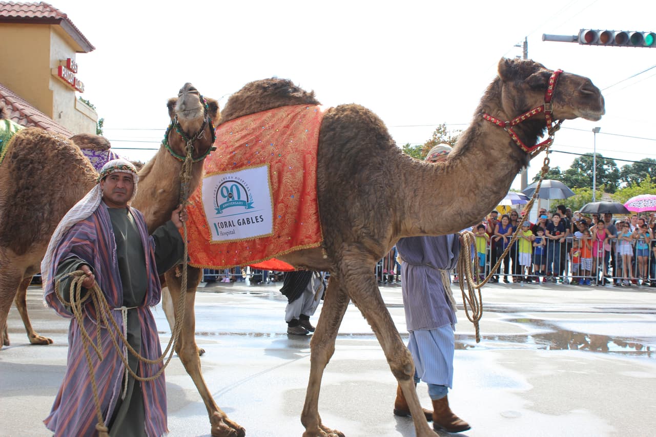 Pese a la lluvia, miles de personas se conglomeraron en la calle ocho para disfrutar de la tradicional Parada de los Reyes Magos en Miami.