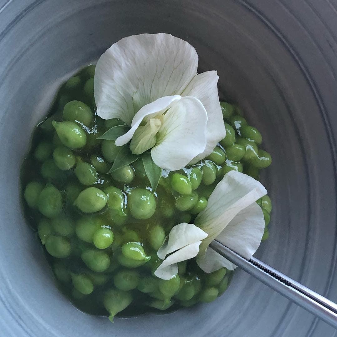 Con el reto de la ruta gastronómica que acaba de comenzar, sólo espera subir de 2 a 3 libras y se comprometió a pesarse una vez que concluya esta aventura de sabor.