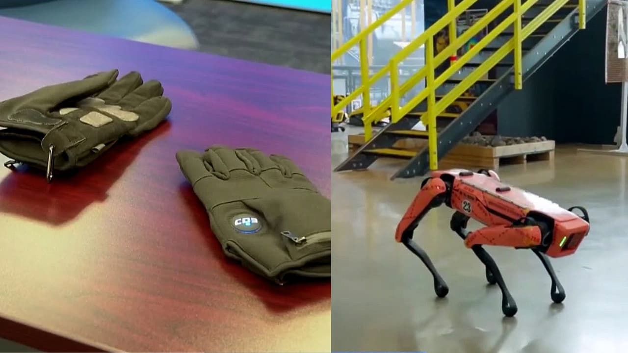 De guantes eléctricos a perros robot: Abogada analiza la nueva tecnología que planea utilizar ICE durante operativos migratorios