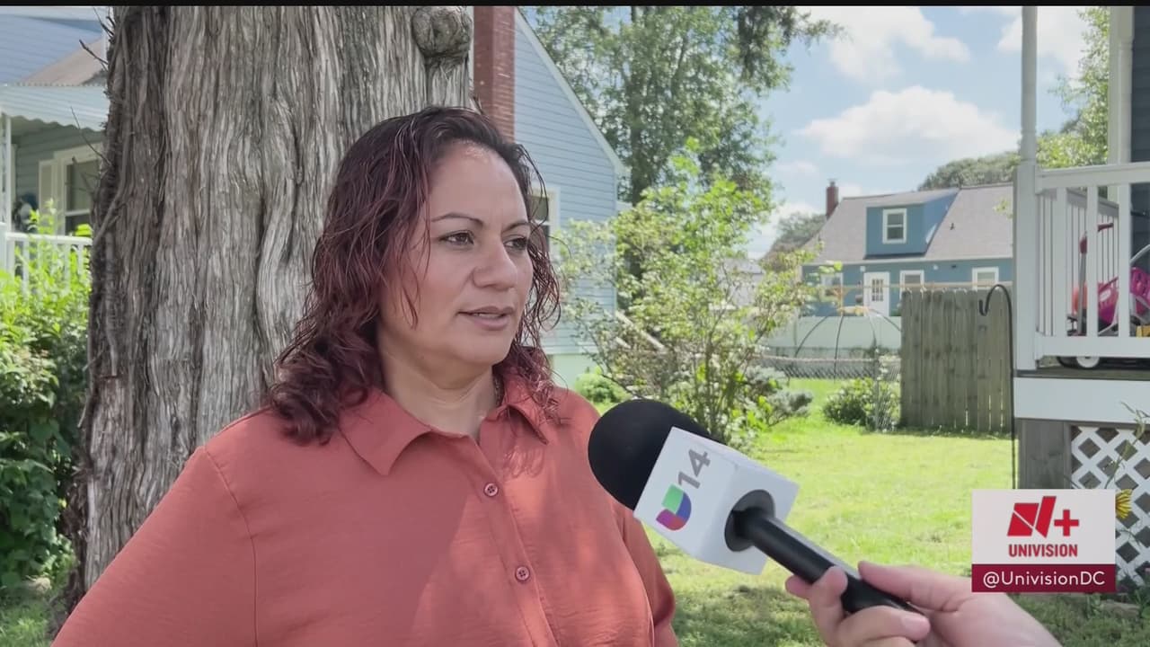 Pese a escasez de choferes escolares, inmigrantes no pueden renovar licencias en el DMV