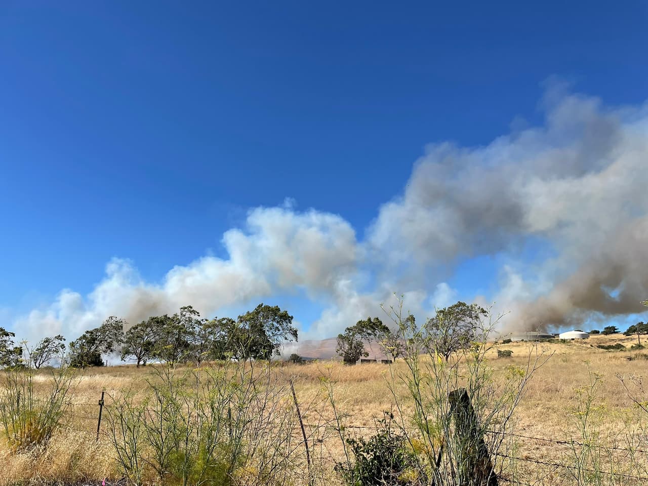 Bomberos atienden incendio de vegetación entre Cordelia y Benicia