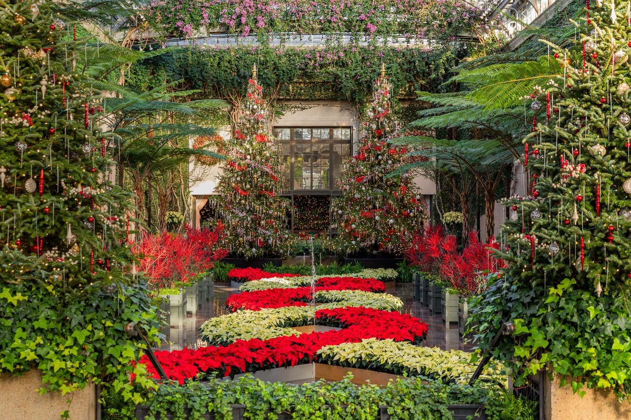 Abundan el consuelo y la alegría en esta preciosa sala con pascuas.