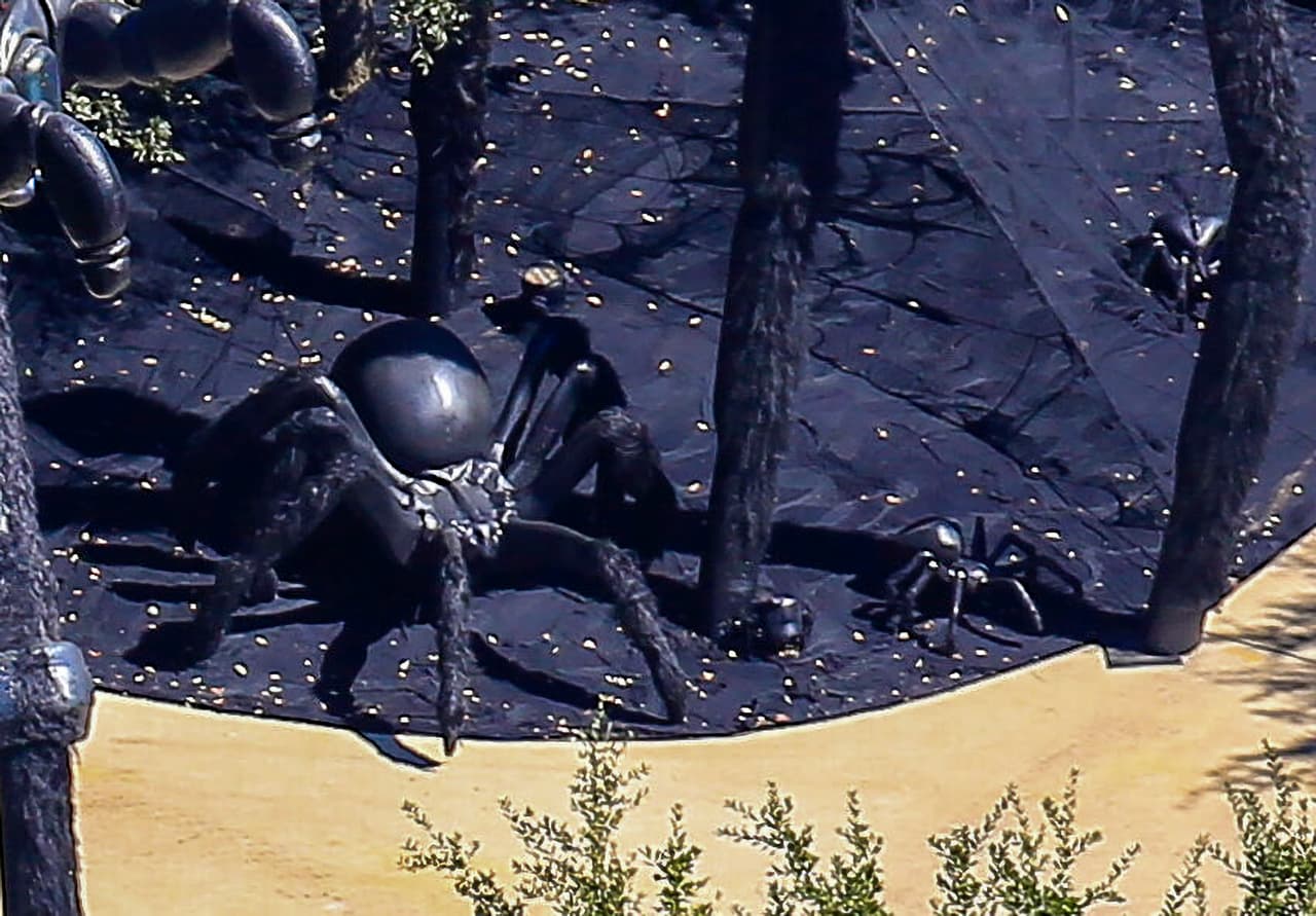 Kim Kardashian no escatimó y la hizo acompañar de otras arañas de diferentes tamaños.
<br>