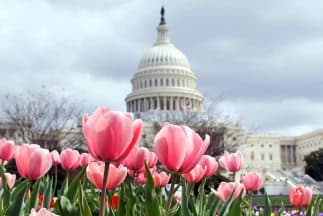 Congreso de Estados Unidos.
