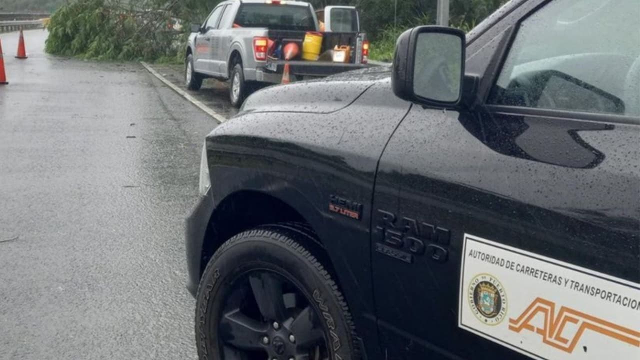 Las autoridades y usuarios de redes sociales han reportado derrumbes y caída de árboles que en algunos casos han impedido que la gente se pueda desplazar. Algunas regiones se encuentran incomunicadas por este motivo.
<br>