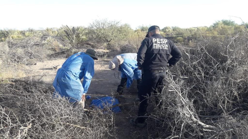Hallan 14 fosas clandestinas en un territorio disputado por carteles del narcotráfico al norte de México