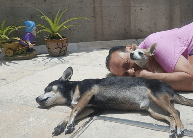 Es amante de los caninos, Mariachi y Marimba son sus consentidos.
