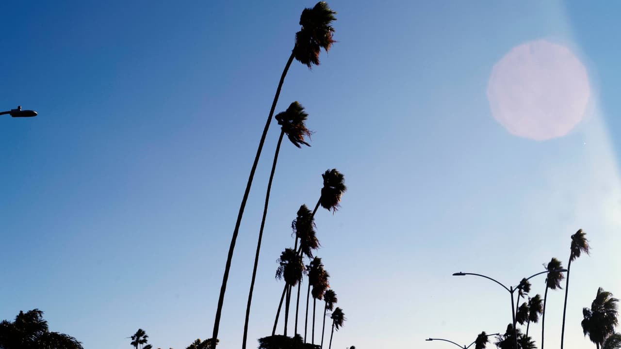 Vientos de Santa Ana impulsan alerta de bandera roja para partes del sur de California: Ya se reportan incendios